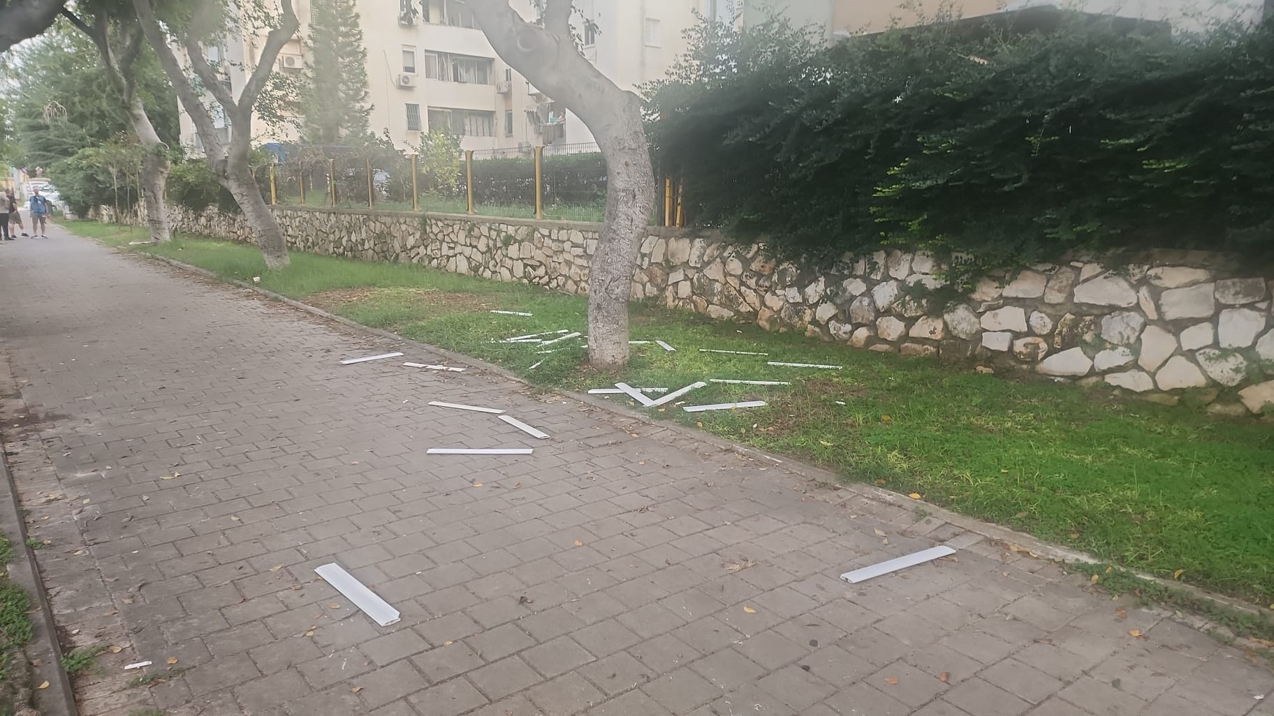 WhatsApp Image 2023-10-27 at 17.16.25.jpeg